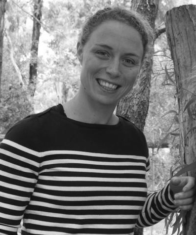 Imagem do fornecedor