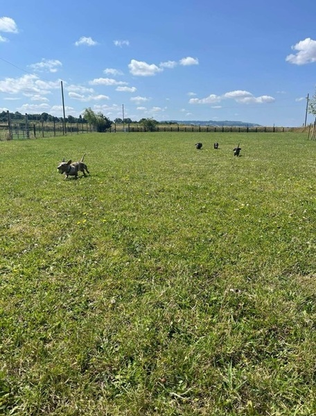 Imagem do fornecedor