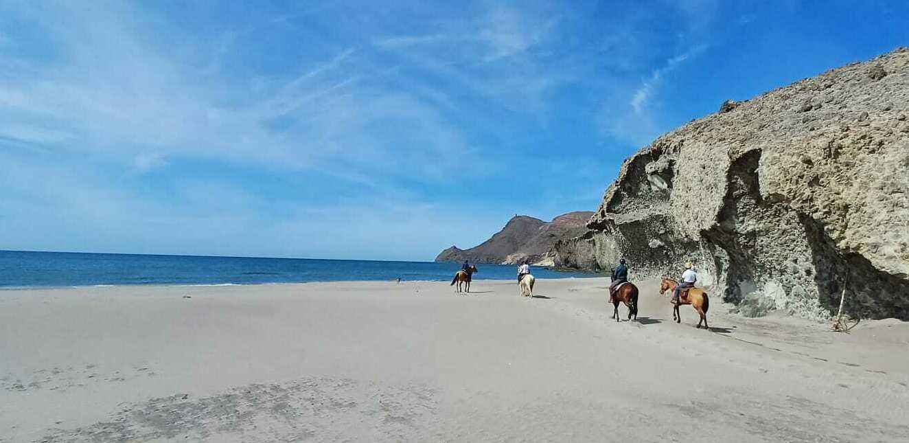 Imagem de apresentação da empresa