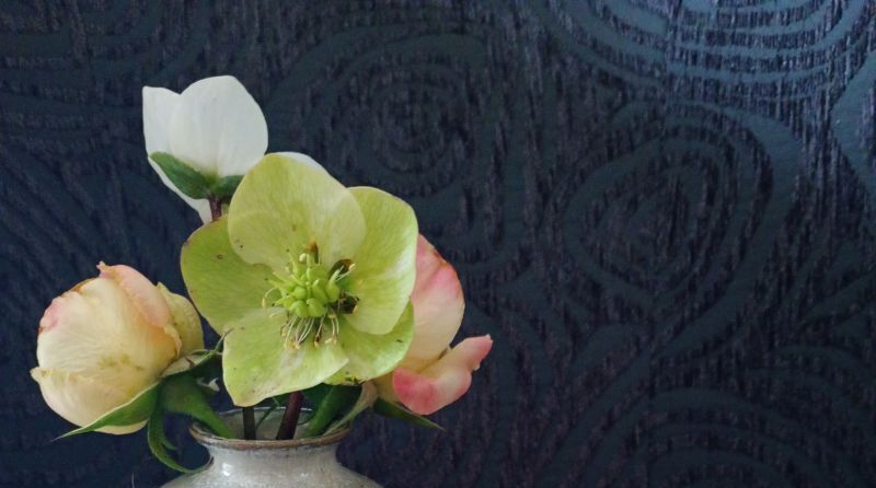 Company cover image