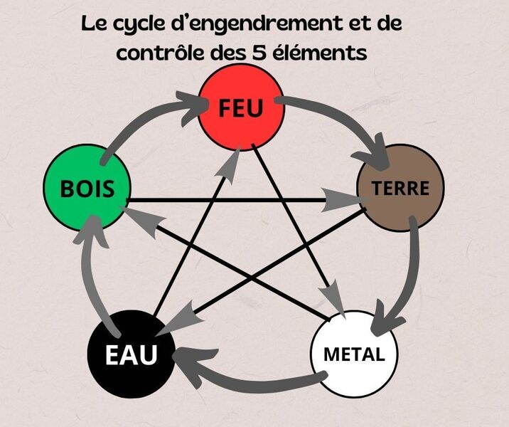 cycle d'engendrement _ Elodie ALLIBERT _ 42