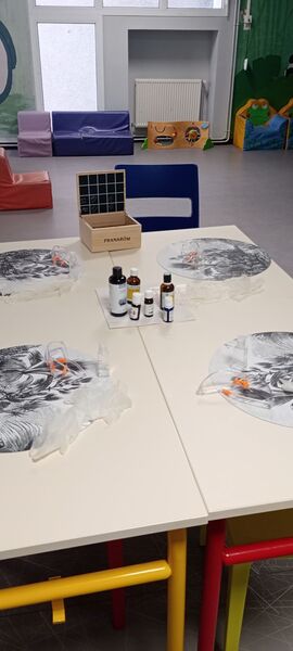Photo de l'installation d'un atelier "détente" réalisé avec la maison de quartier du Cret de roch à Saint-Etienne le 8 mars 2024, à l'occasion de la journée des droits de la femme. Elodie ALLIBERT, conseillère en aromathérapie avait réalisé des ateliers sur la préparation d'une synergie d'huiles essentielles pour les douleurs musculaires et articulaires.