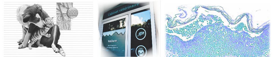 Imagem de apresentação da empresa