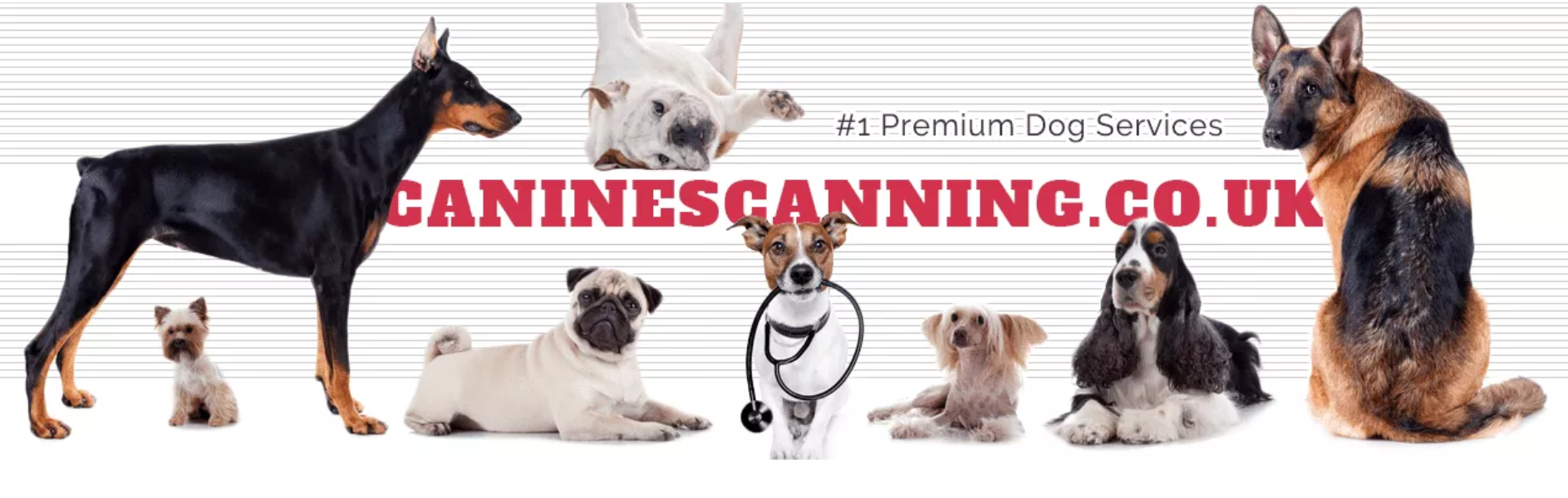 Imagem de apresentação da empresa