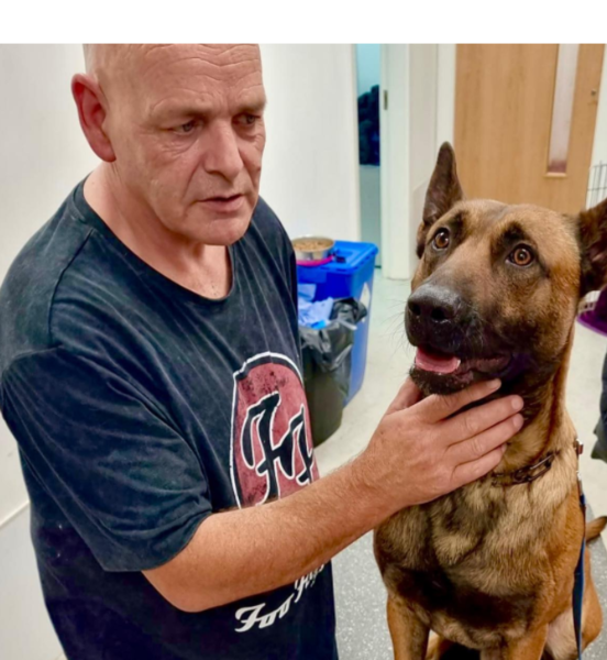 Imagem do fornecedor