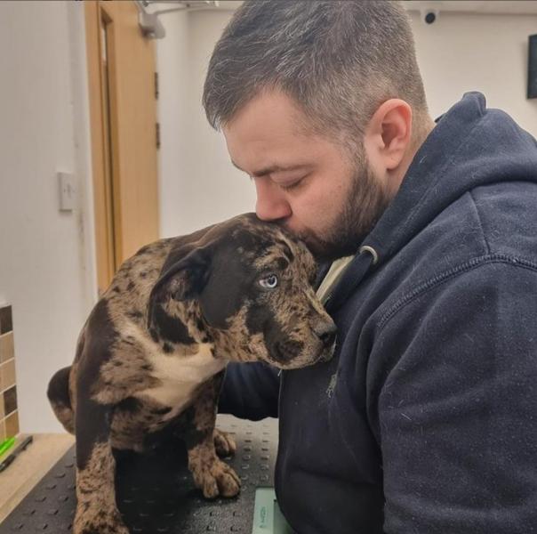 Imagem do fornecedor