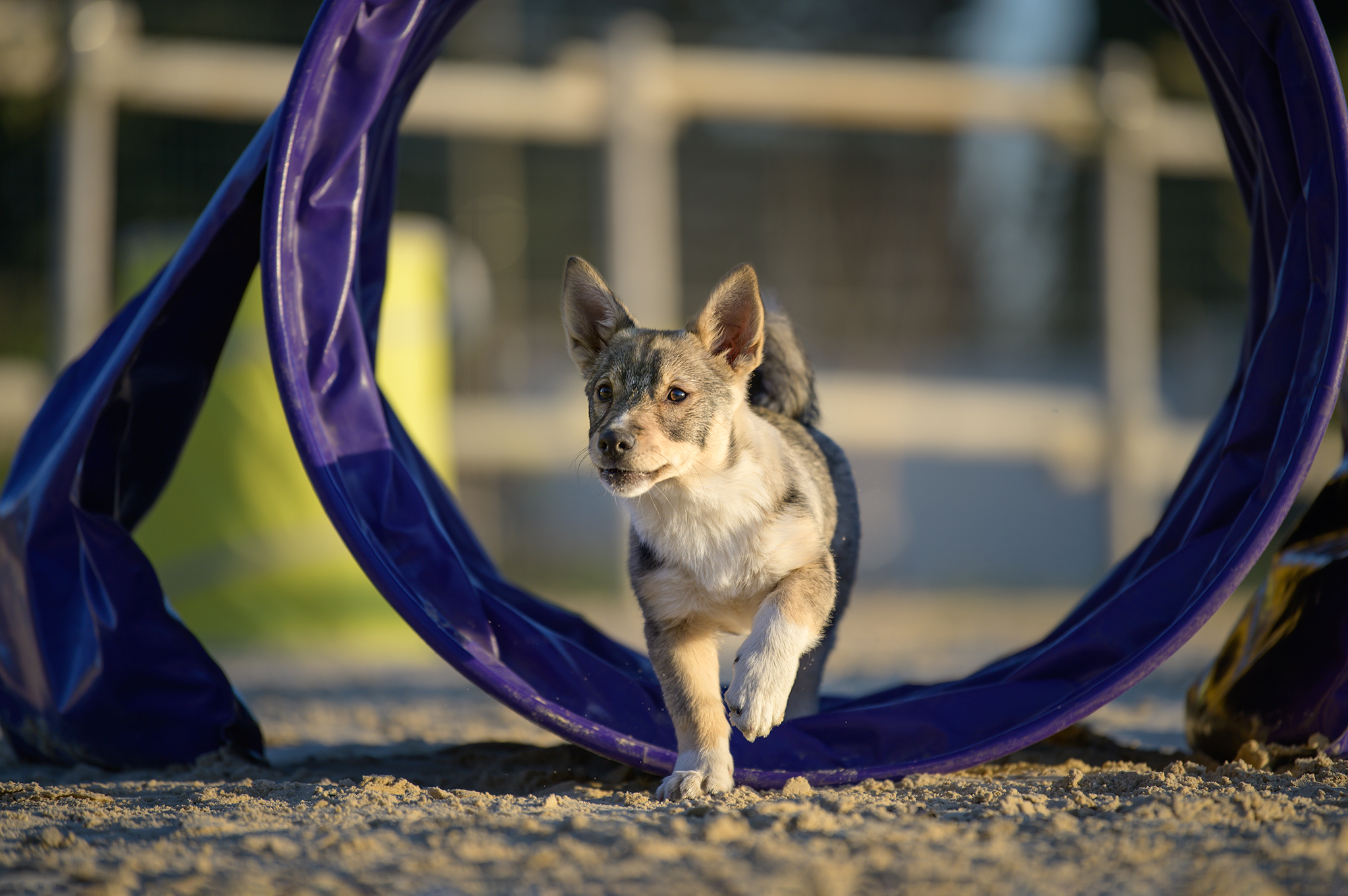 Imagem do fornecedor