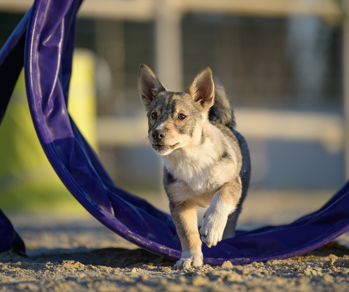 Imagem do fornecedor