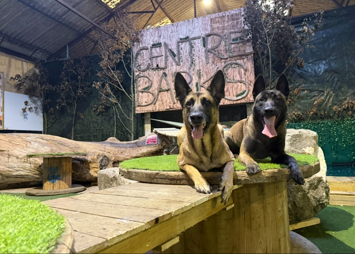 Imagem de apresentação da empresa