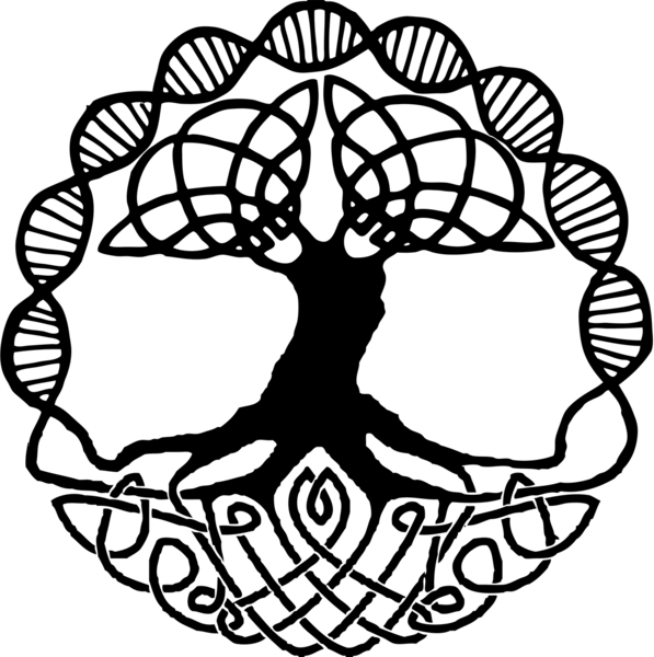 Company image