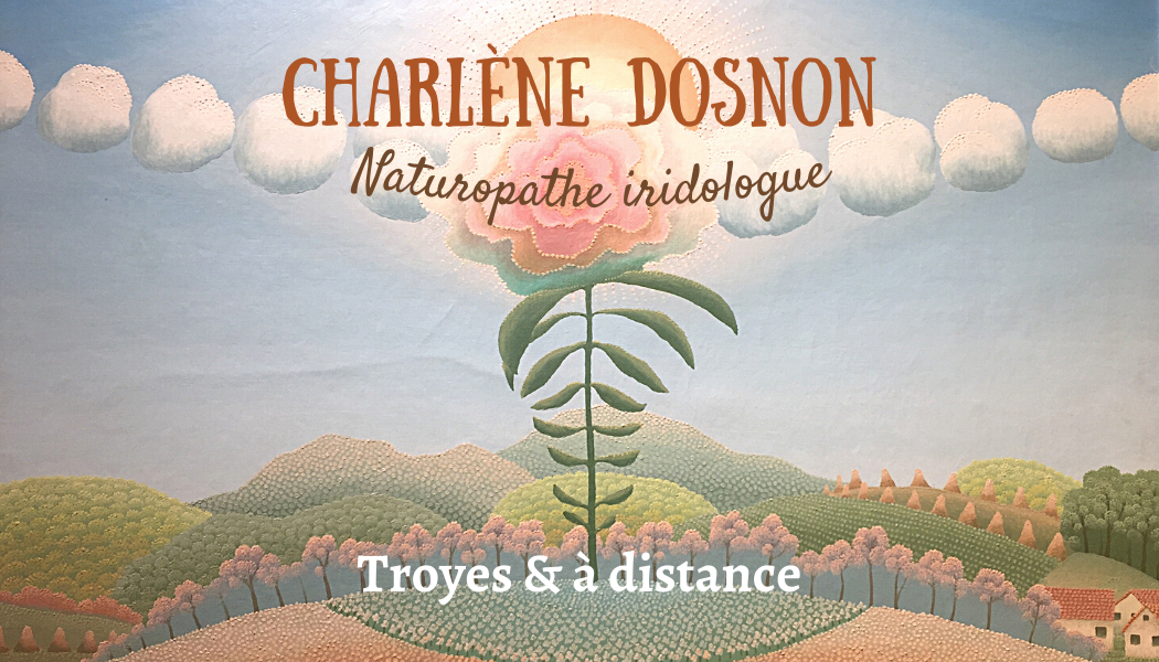 Imagem de apresentação da empresa