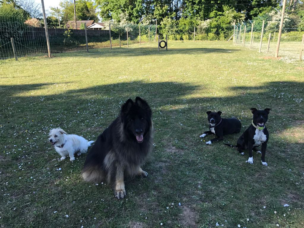 Imagem do fornecedor