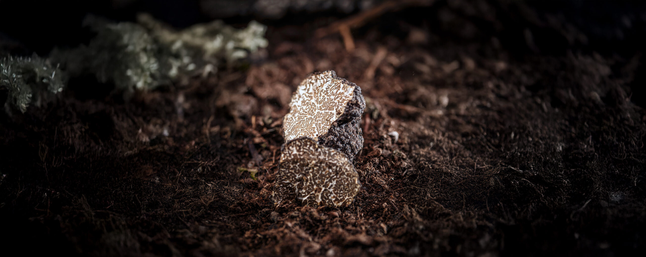 Imagem de apresentação da empresa