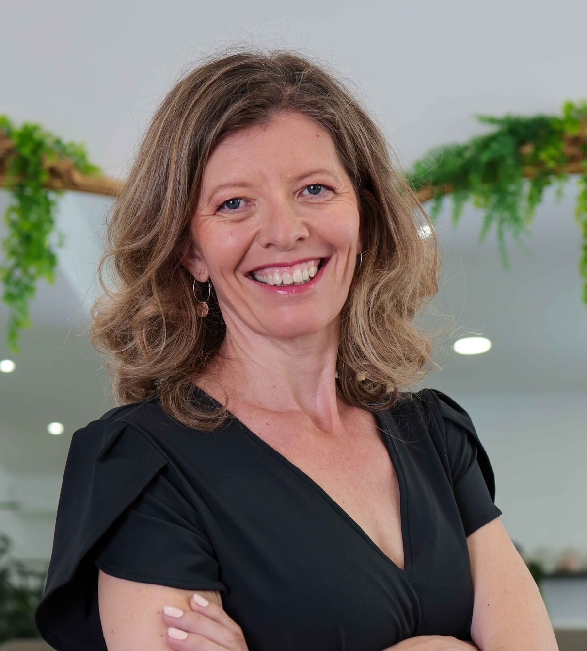 Imagem do fornecedor