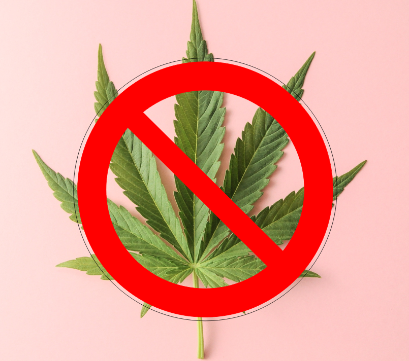 服务项目照片