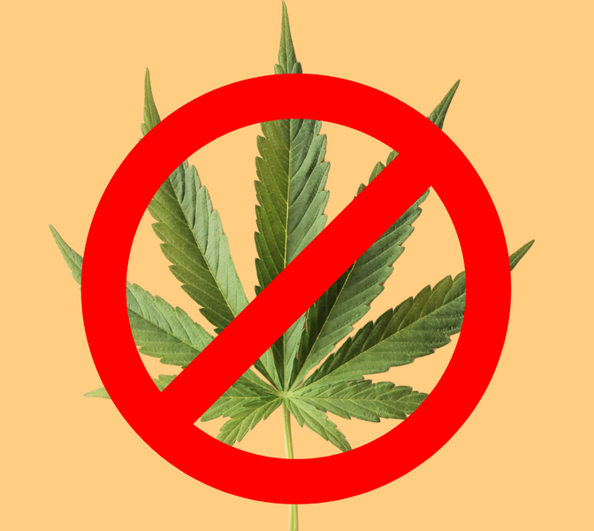 服务项目照片
