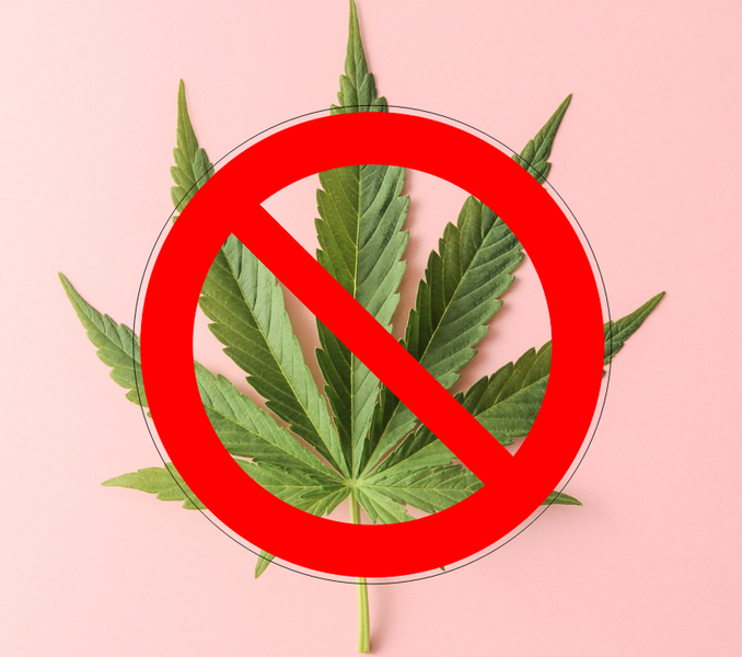服务项目照片