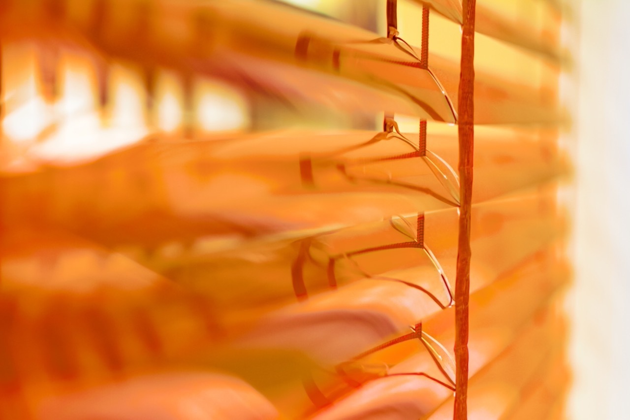 Imagem do fornecedor