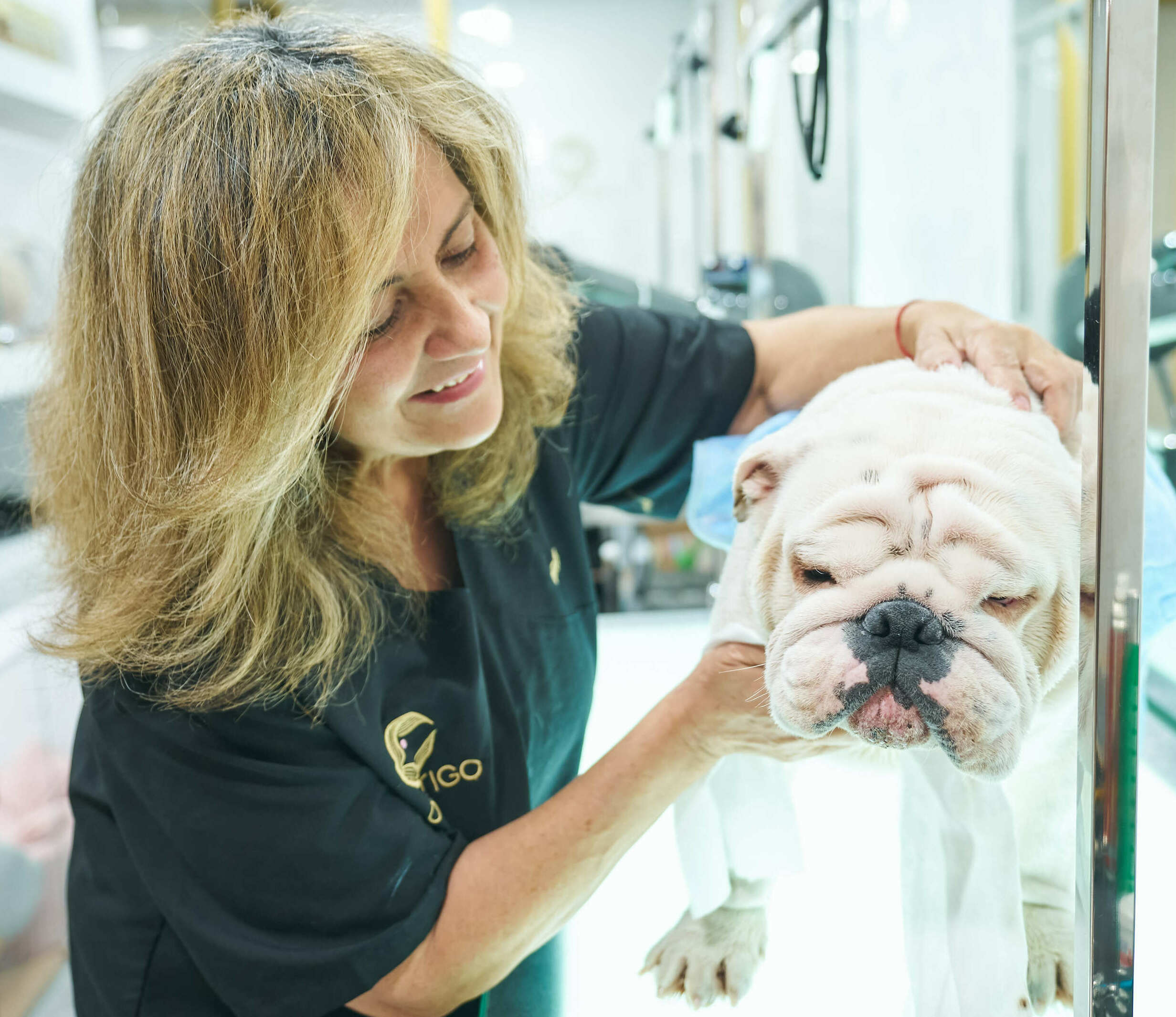 Imagem do fornecedor