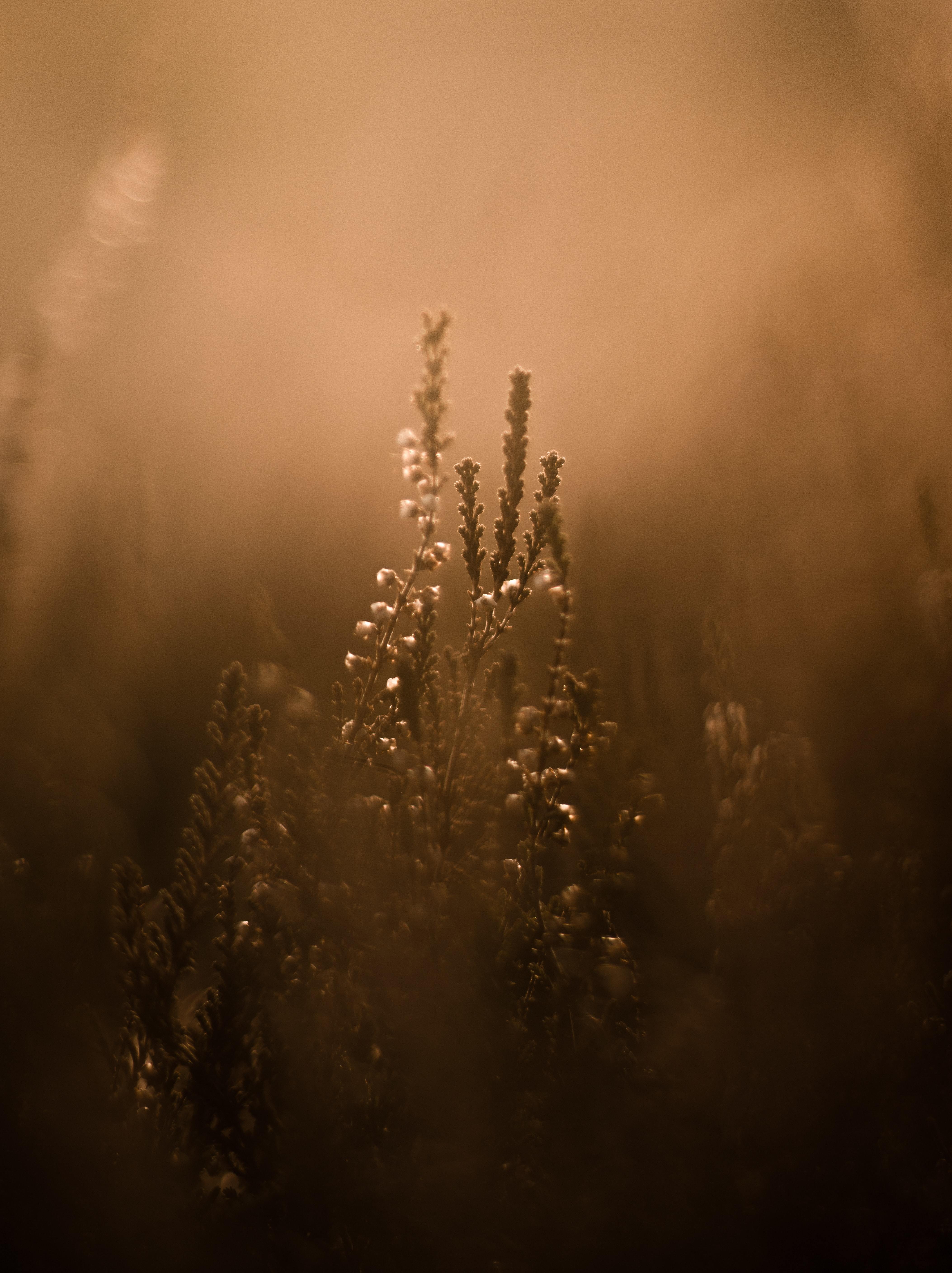 Imagem de apresentação da empresa