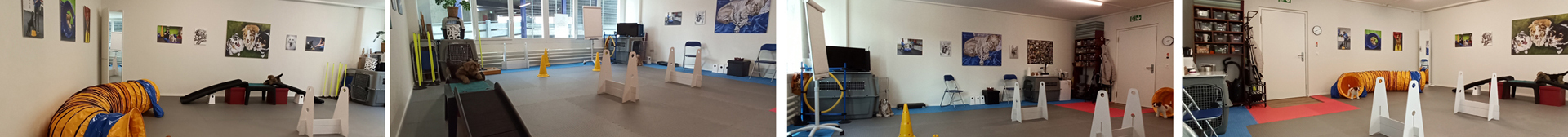 Imagem de apresentação da empresa