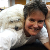 Imagem do fornecedor