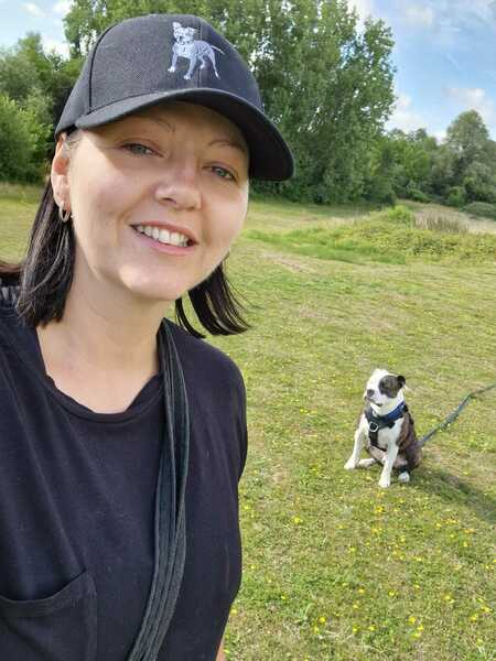 Imagem do fornecedor