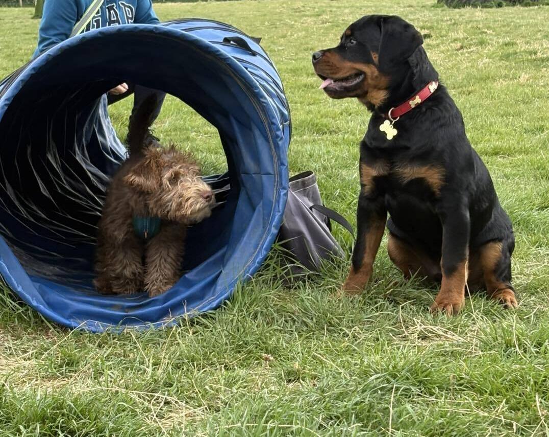 Imagem do fornecedor