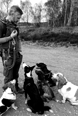 Imagem do fornecedor