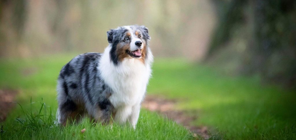 Imagem de apresentação da empresa