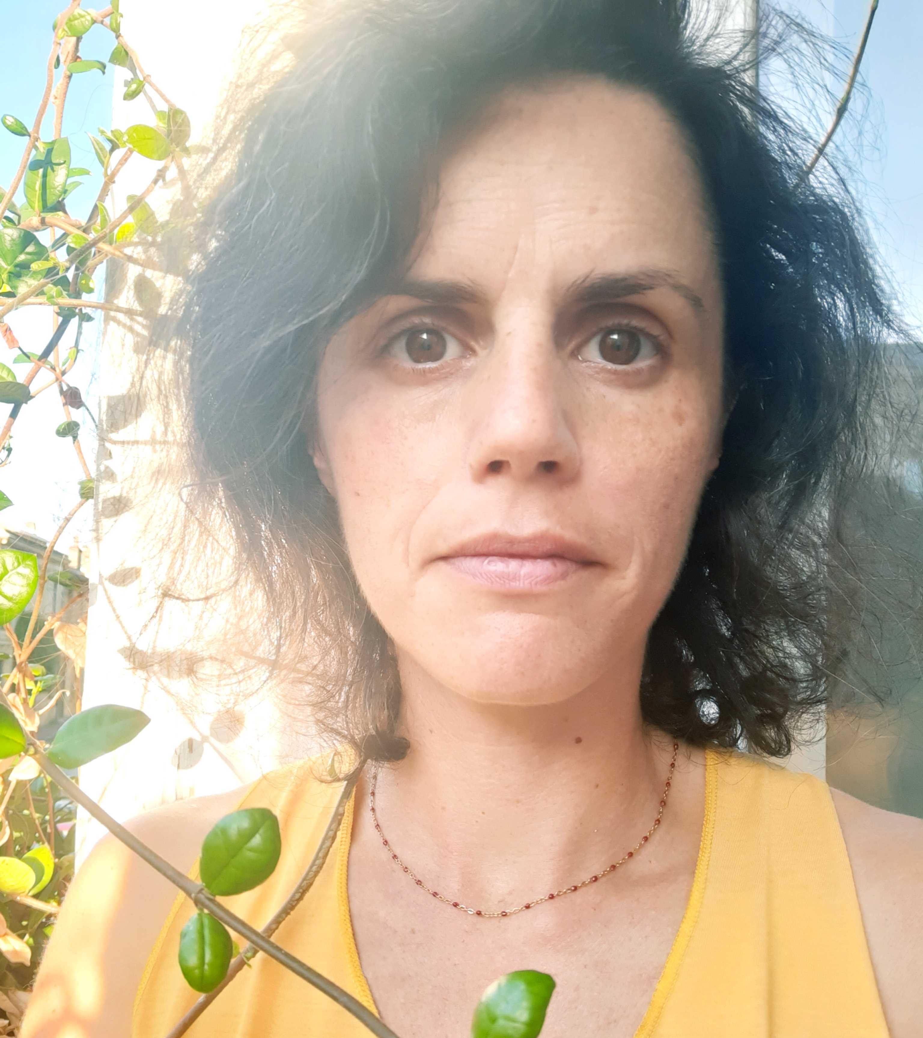 Imagem do fornecedor