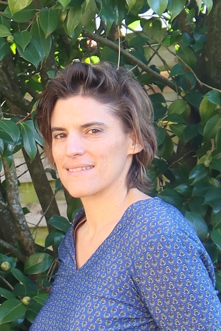 Imagem do fornecedor