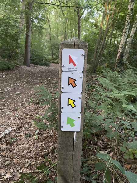 Wandelbordjes met cryptische aanwijzingen leiden je door de outdoor escape in Dalfsen—escaperoom buiten, 100% offline en perfect voor familie, vrienden of teams.