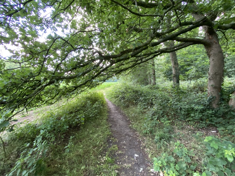 Bijzondere paden op de escape tocht: slingerpaadjes en prachtige doorkijkjes—escaperoom buiten in Dalfsen, 100% offline en avontuurlijk.