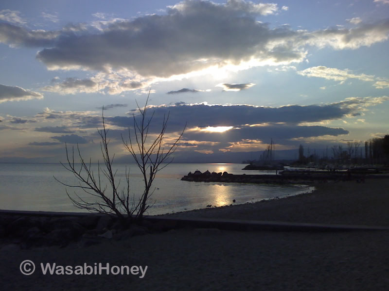 Imagem do fornecedor