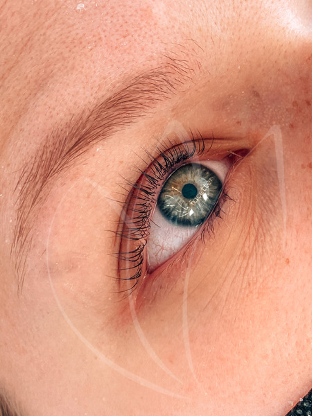 Wimpernliftig inkl Farbe