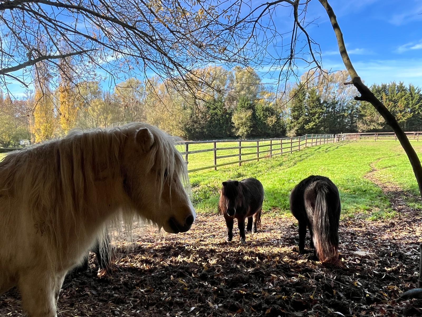Imagem de apresentação da empresa