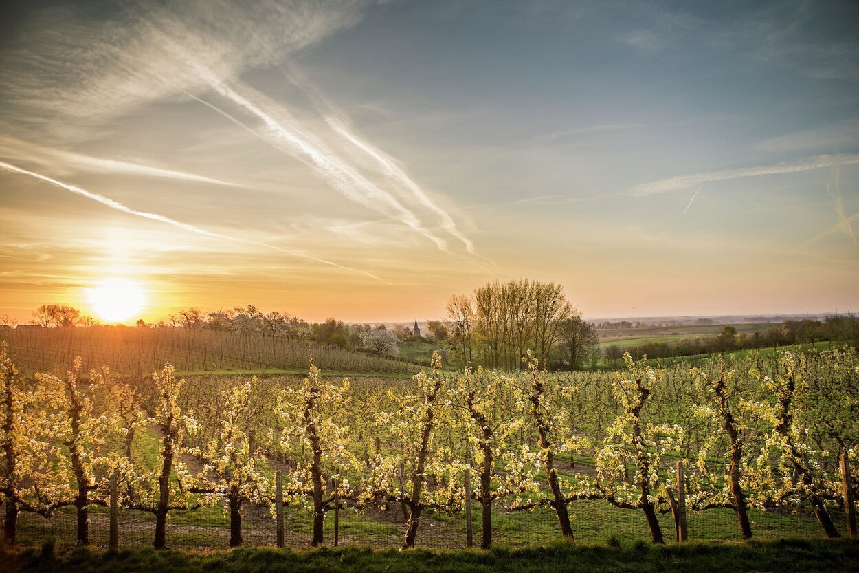 Imagem de apresentação da empresa