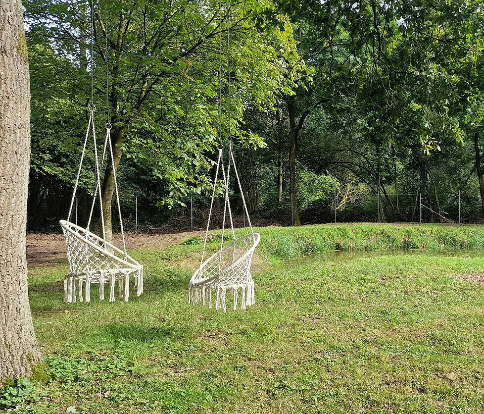 Imagem do fornecedor