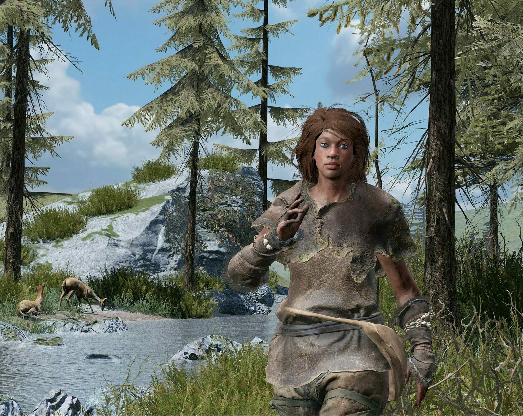 Provider image
