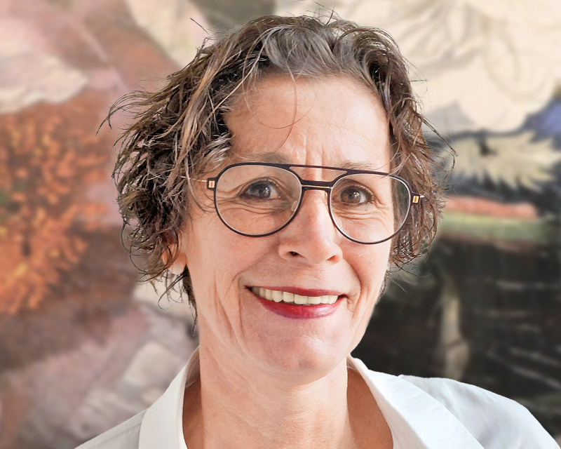 Imagem do fornecedor