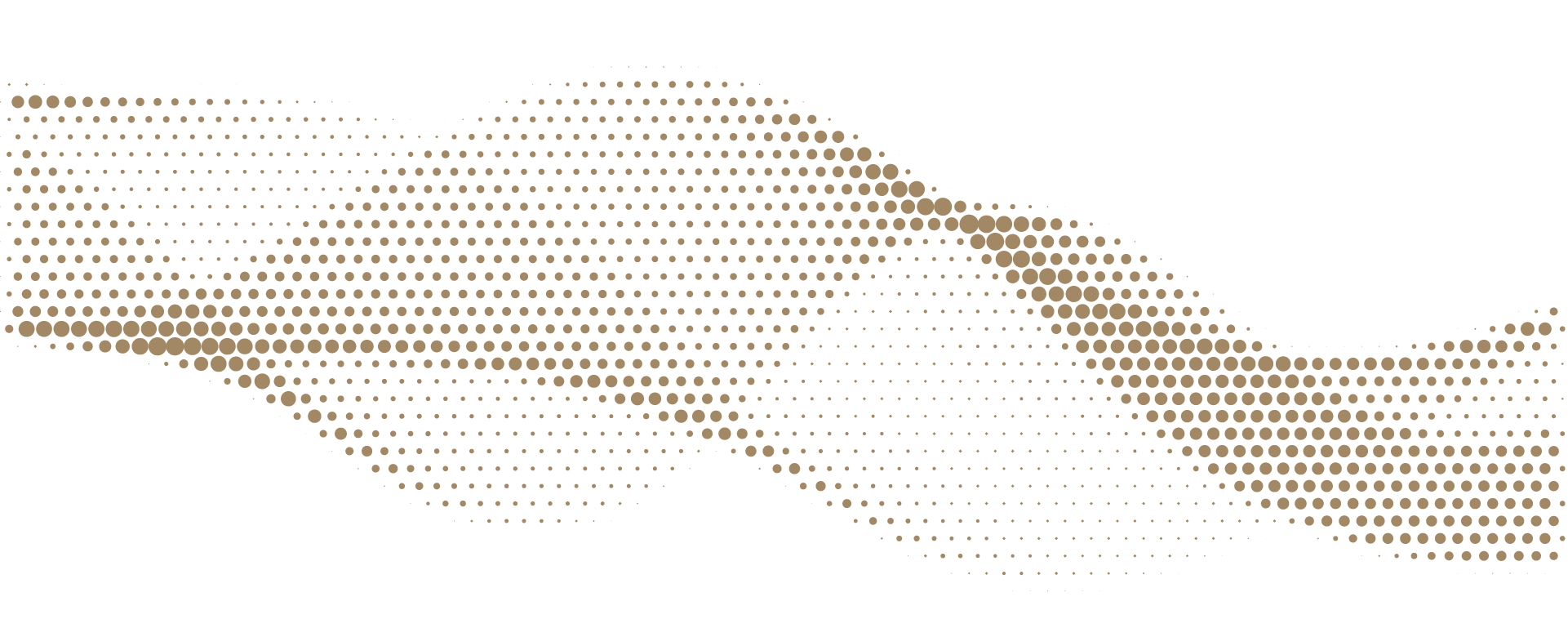 Imagem de apresentação da empresa