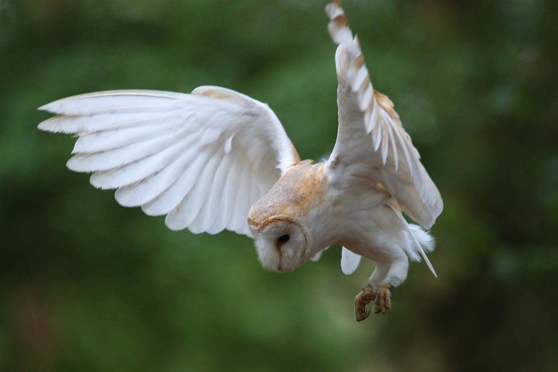 Imagem de apresentação da empresa