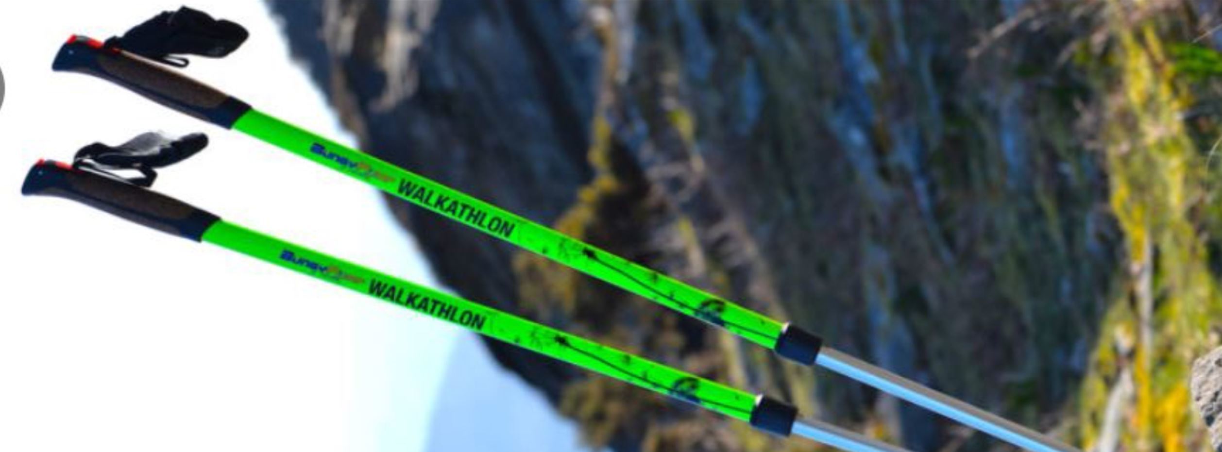 Imagem de apresentação da empresa