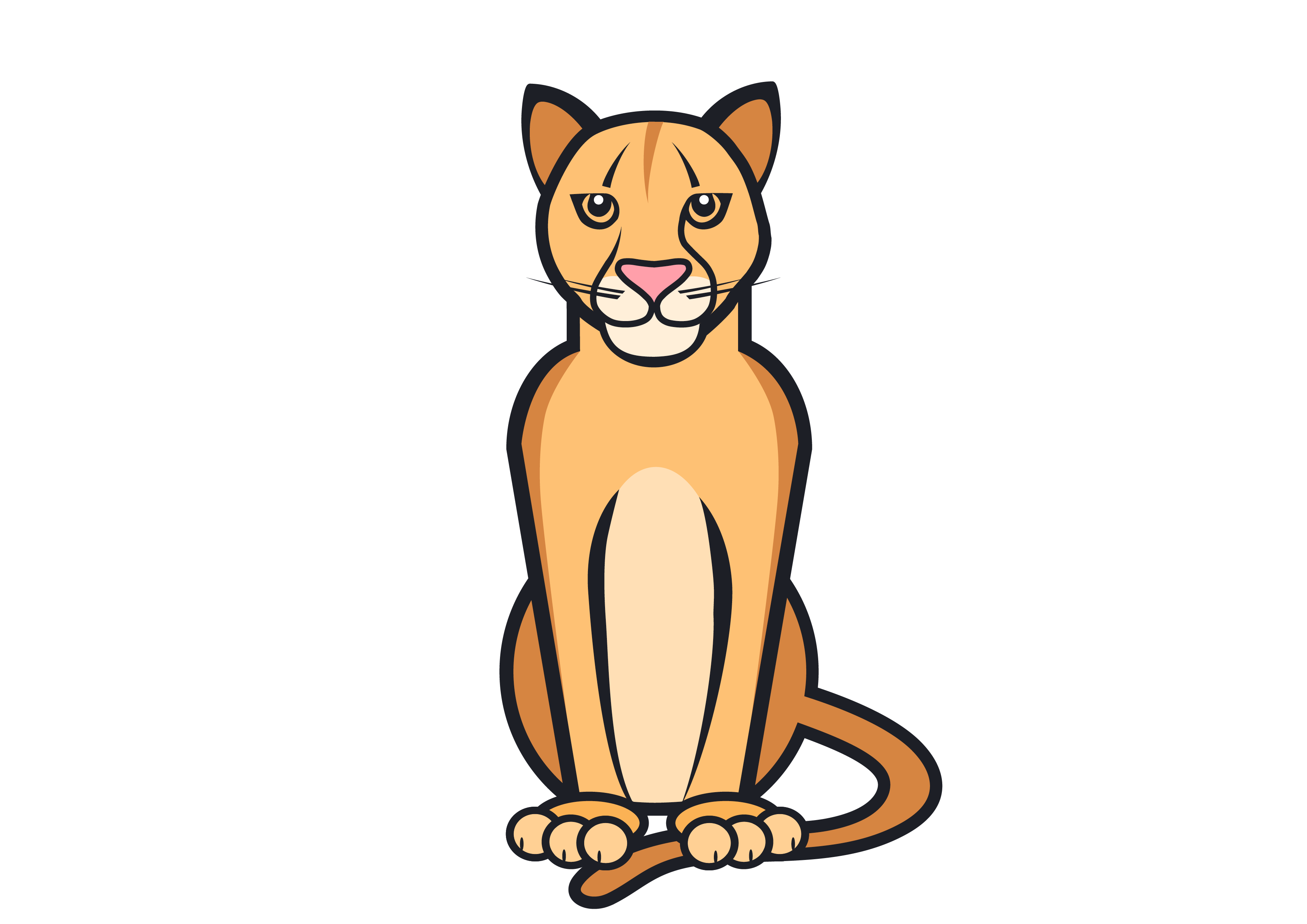 Provider image