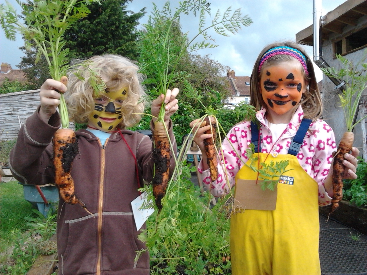 Imagem do fornecedor