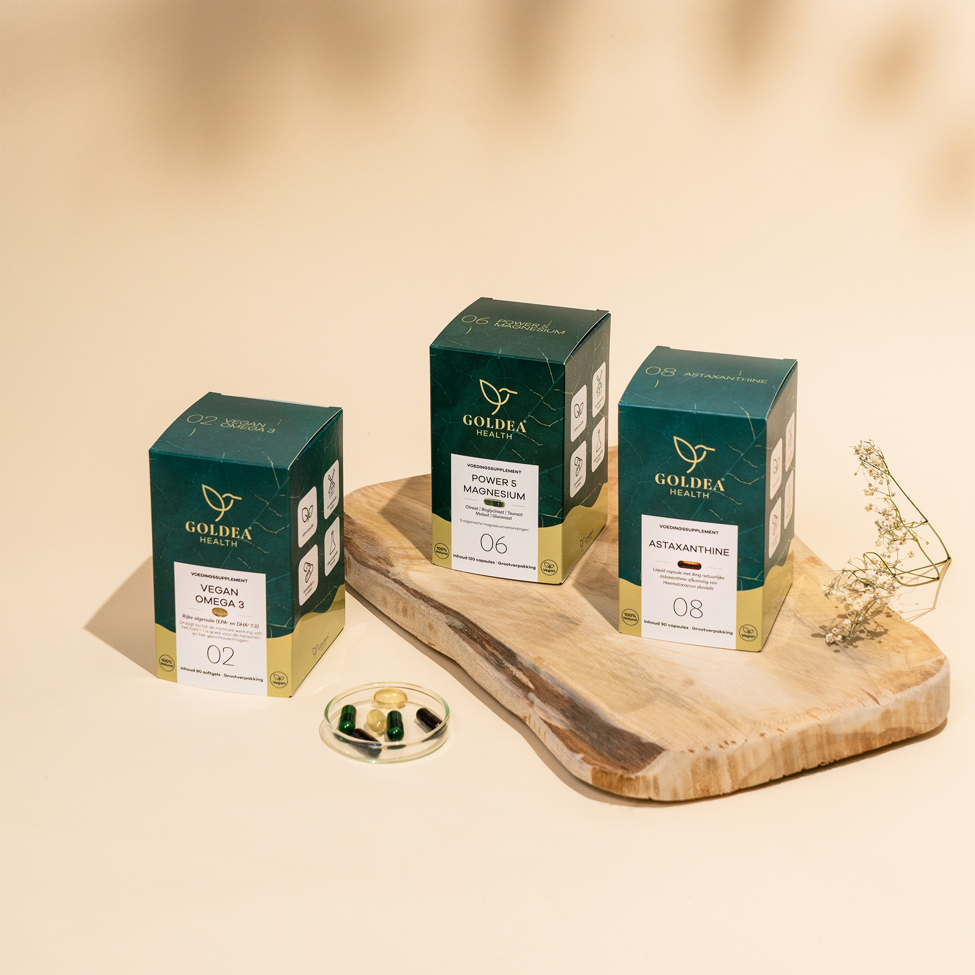 Imagem de apresentação da empresa