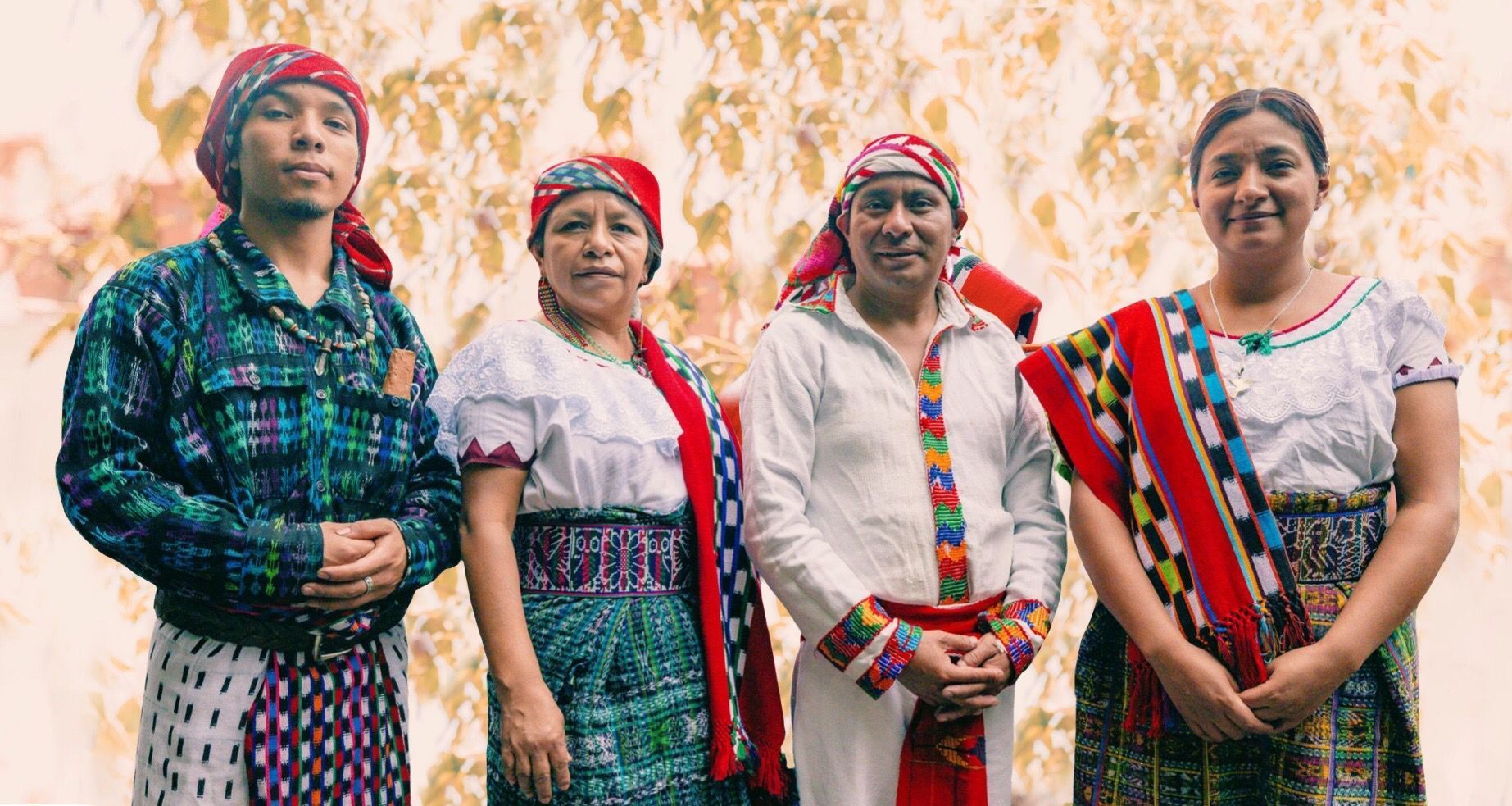 Imagem do fornecedor