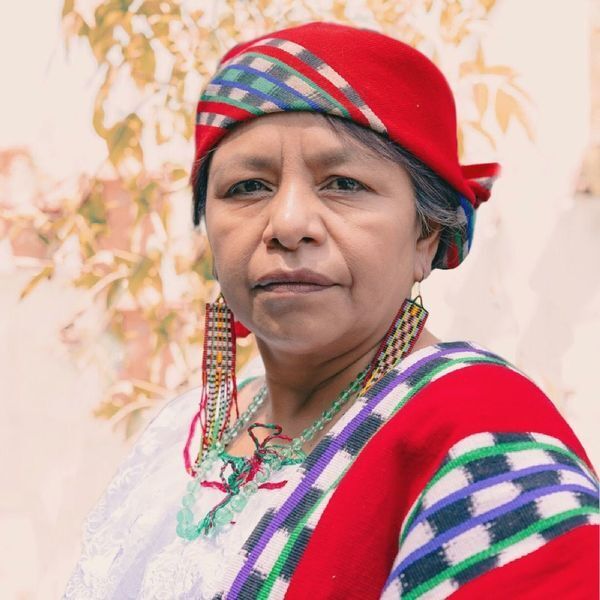 Imagem do fornecedor