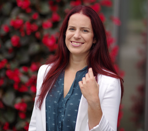 Imagem do fornecedor